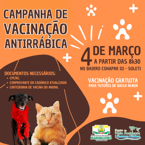 Campanha de Vacinação Antirrábica no Bairro Cohapar III – Soleti