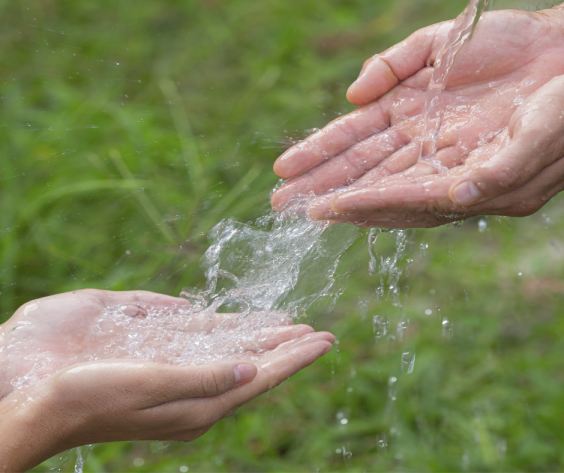Departamento de Meio Ambiente Realizará Atividades Alusivas ao Dia Mundial da Água