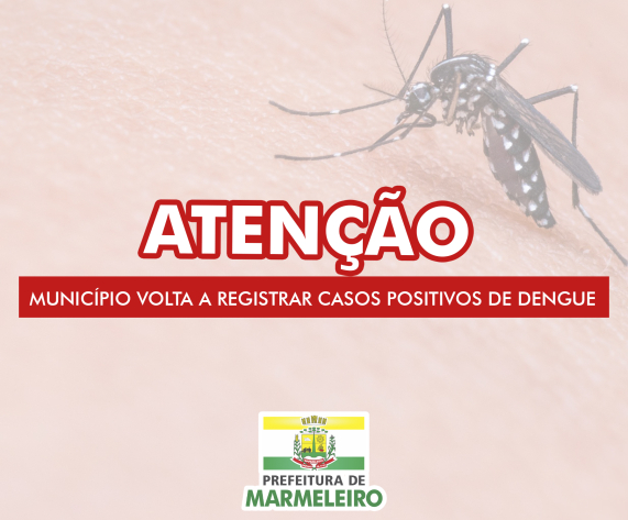 Dois Novos Casos de Dengue são Confirmados após 3 Semanas sem Registros